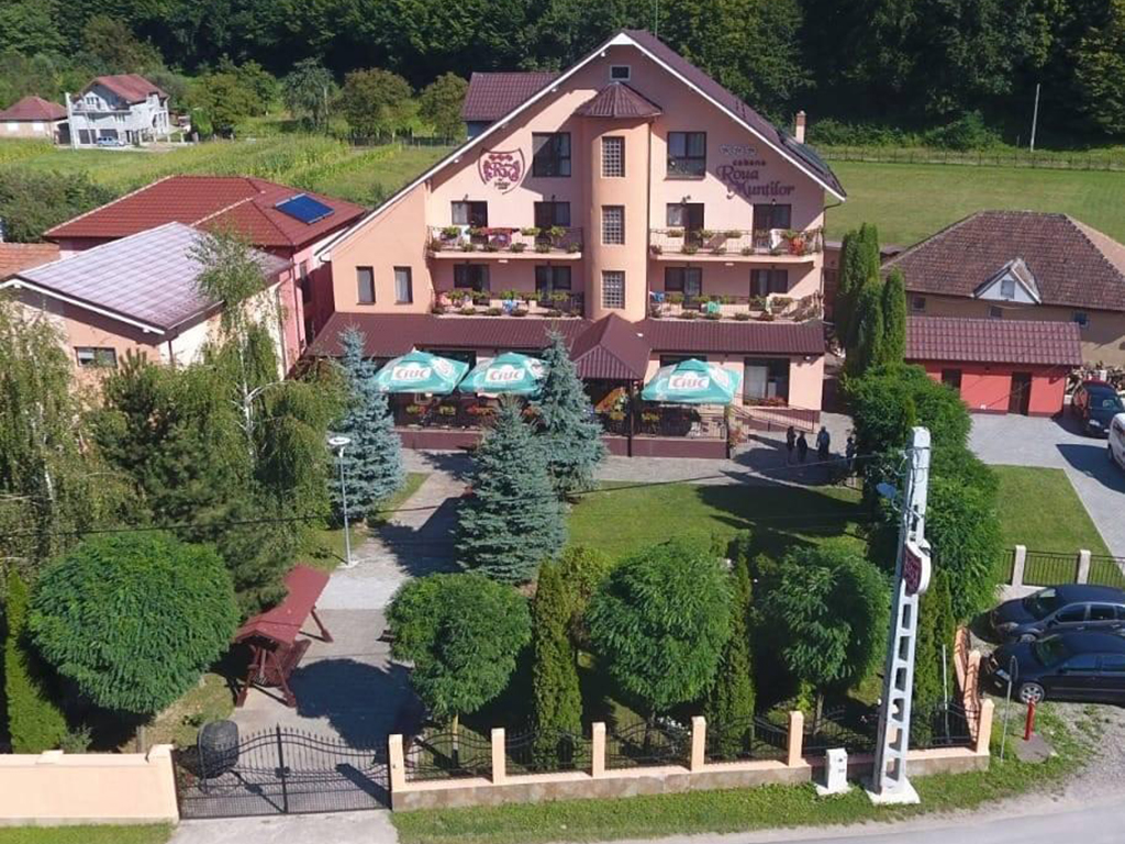 Picture of Pensiunea Roua Munților