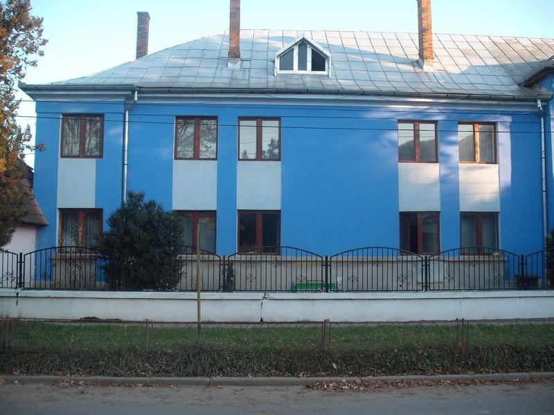 Picture of Perla Albastra