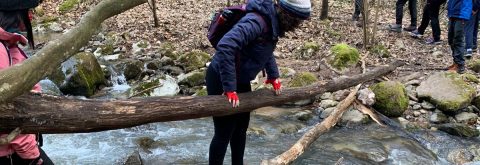 Drumeție Peștera Moanei