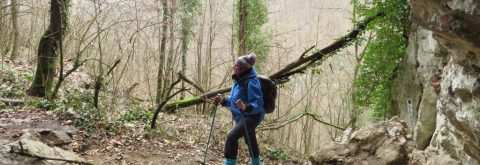 Drumeție Defileul Crișului